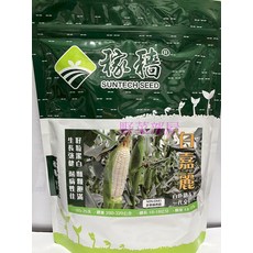 SUNTECH SEED 蕓馨 白嘉麗 白超甜玉米種子 半磅裝 生長勢強 耐病佳, 1包