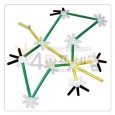 포디프레임 4D 익룡, 단품