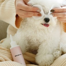 강아지 고양이 애견 오너스 아이클렌저 눈물세정제, 눈물세정제 1개