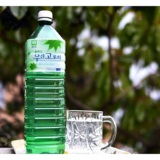 울릉도고로쇠 수액 우산 고로쇠물 고로수액, 1.5L, 1개