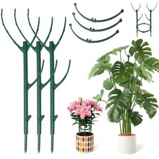 6 Pack Stackable Monstera Plant Support 11 Inch Support Stakes for Indoor & Outdoor Use Plants S, 6 Pack Stackable Monstera Plan