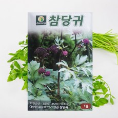 당귀씨앗 참당귀씨앗 1g 1개 다년생 약초 나물 다농종묘