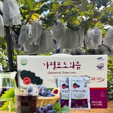 포도즙 가평 운악산 포도 저온착즙 무첨가 과채주스 포도주스, 100ml