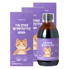 와이즐리 가족면역엔 엘더베리맛 아연, 3개, 280ml