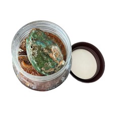 완도 활전복 전복장 전복장조림 10-12마리 1kg, 1개, 1L