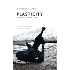 (영문도서) Plasticity: The Promise of Explosion Hardcover, Edinburgh University Press, English, 9781474462112