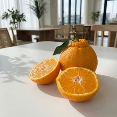 [당도선별] 백화점급 고당도Brix 제주 한라봉, 1세트, 2kg중소(1%갓수확 신선한 새콤달콤 선별BEST)