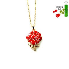장미향기 카네이션 리본2 팬던트 hii+57950cv