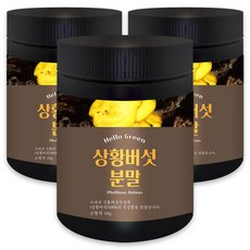 헬로우그린 국내산 상황 버섯 분말 50g(통), 3개
