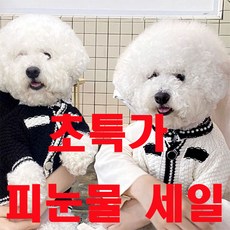 굿스펫 강아지옷 트위드 자켓 니트 가디건 중소형견 애완의류 스웨터(땡처리), 화이트, 1개