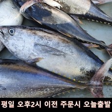 [국산횟감] 참다랑어필렛 참치필렛 원물 4-7kg급, 1개, 참다랑어 필렛 500g x 2