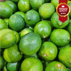 [초특가할인] 프리미엄 신선한 생라임 멕시코 라임, 1개, 생라임 18kg