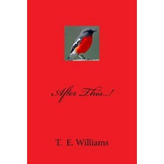 (영문도서) After This...! Paperback, Createspace Independent Pub..., English, 9781542980142