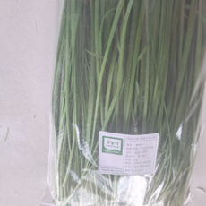 냠냠팜팜 산지직송 친환경 무농약 부추, 1개, 300g