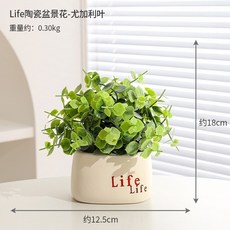 臺灣出貨 假花花裝飾品擺件陶瓷花盆感逼真客廳室內假綠植花卉盆栽 ZT7L, 尤加利葉-Life盆, 1個