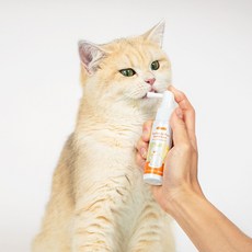 솔루션 포포우 덴탈케어 고양이 구강영양제, 1개, 30ml