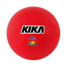 DSGS 피구공 4호 21cm 체육교구, 블루, 1개