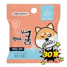 브리더랩 한입애 쿵 20g 연어, 30개