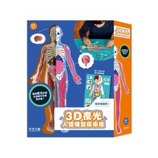 禾流 3D 夜光人體模型探索組, 1個
