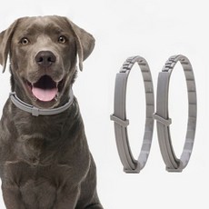 [GE가은스토어] 강아지 고양이 모기 벌레 제거 목걸이 강아지목걸이 고양이목걸이 진드기목걸이, 1강아지벌레방지-소형, 1