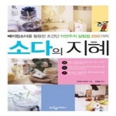 [개똥이네][중고-상] 소다의 지혜