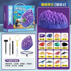 超繪玩 挖寶石科敎玩具 兒童考古挖掘 海洋寶藏 小女孩琥珀昆蟲礦石化石DIY, 考古珊瑚-海洋動物+寶石類【組合2】, 1個