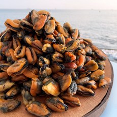 바다어보 국산 햇 건홍합 / 홍합조림 마른홍합 말린홍합, 1개, 300g