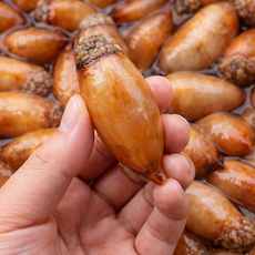 진동 미더덕 손질 알미더덕 창원 산지직송 500g 1kg, 1개, 500g (35-40미 내외)