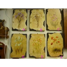 House傢飾 花系列版畫 (鬱金香/海芋) 限量新款