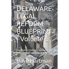 (영문도서)DELAWARE LEGAL REFORM BLUEPRINT - Volume 5: Incarceration Conditions Health A... Paperback, Independently Published, English, 9798278921172
