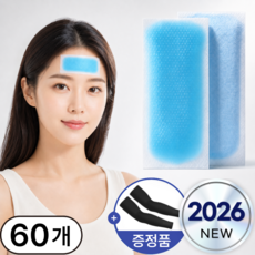 실버리 여름 냉감 쿨패치 아이스 쿨링 패치, 60개