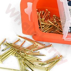 웨일베리 내구성 목재못 30mm 160개입 (케이스포함) 금색 가구설치