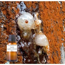 古巴香脂 純精油 Copaifera officinalis 秘魯, 1個, 250ml
