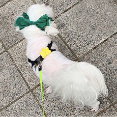 애견 필수템! 강아지 리본 머리띠 파티 2종 이어슈슈(귀 통풍 효과에 패션까지 챙기세요), 1개, 그린파티