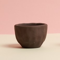 투구 별선인장 키우기쉬운 아프리카식물 아스트로피툼, 1개, 투구+화분(에보니)+전용 흙