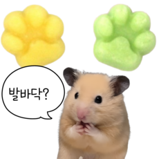 (best) 햄스터 발바닥 치즈 간식 산양유 슈가글라이더 친칠라 기니피그 다람쥐, 1개, 85g