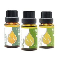 Set Morning Energy 유기농 에센셜 오일 | 50ml(1.52온스) 라임 + 티트리 유칼립투스 100% 순수 및 천연 희석되지 않음 치료 등급 GMO 프리 (3개, "아침 에너지" 세트