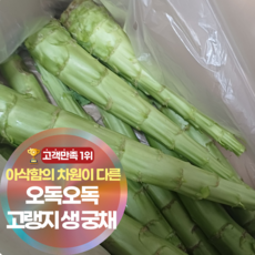 삼시세끼연구소 한달만 나오는 국산 궁채 생궁채 줄기상추, 1박스, 1kg