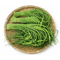 국내산 창녕 햇마늘쫑, 500g, 1개