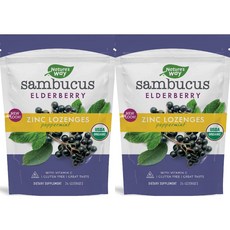 네이쳐스웨이 삼부커스 아연정 페퍼민트 24정, 2개