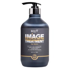 위스티 이미지 플로럴 우디 향 퍼퓸 대용량 약산성 트리트먼트 디어메모리, 1개, 500ml