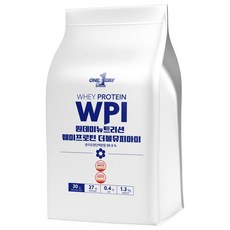 원데이뉴트리션 웨이프로틴 단백질 WPI 포대유청, 1.3kg, 1개