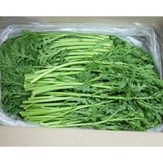 믿을 수 있는 우리 농산물 쑥갓 400g내외 이강산닷컴, 1개