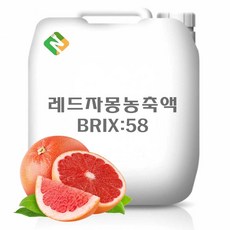 레드자몽농축액 20kg, 1개