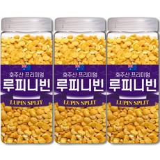 통에담은 최상급 루피니빈 콩 호주산 루핀콩, 3개, 1kg