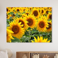 세잔느화실 캔버스액자 풍수액자 활짝핀해바라기들판, 옐로우