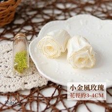 金邊玫瑰 永生玫瑰 極度花燥 花材, 【小金風玫瑰】3 ~ 4公分(金白),一朵