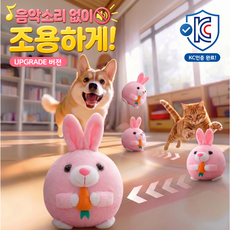[강아지 장난감] 앤트앤비 움직이는 강아지 고양이 펫 장난감 펫볼 자동 진동 롤링 애니볼 USB 충전형 세탁가능, 1개, 토끼