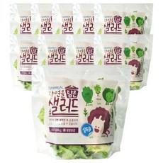 데이밀 자연을담은 샐러드 실속B 100g x 10팩 국내산 야채믹스 드레싱없음, 10개