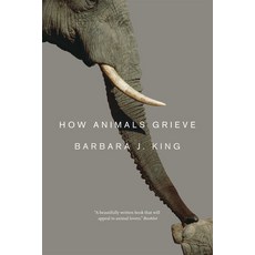 (영문도서) How Animals Grieve Paperback, University of Chicago Press, English, 9780226155203